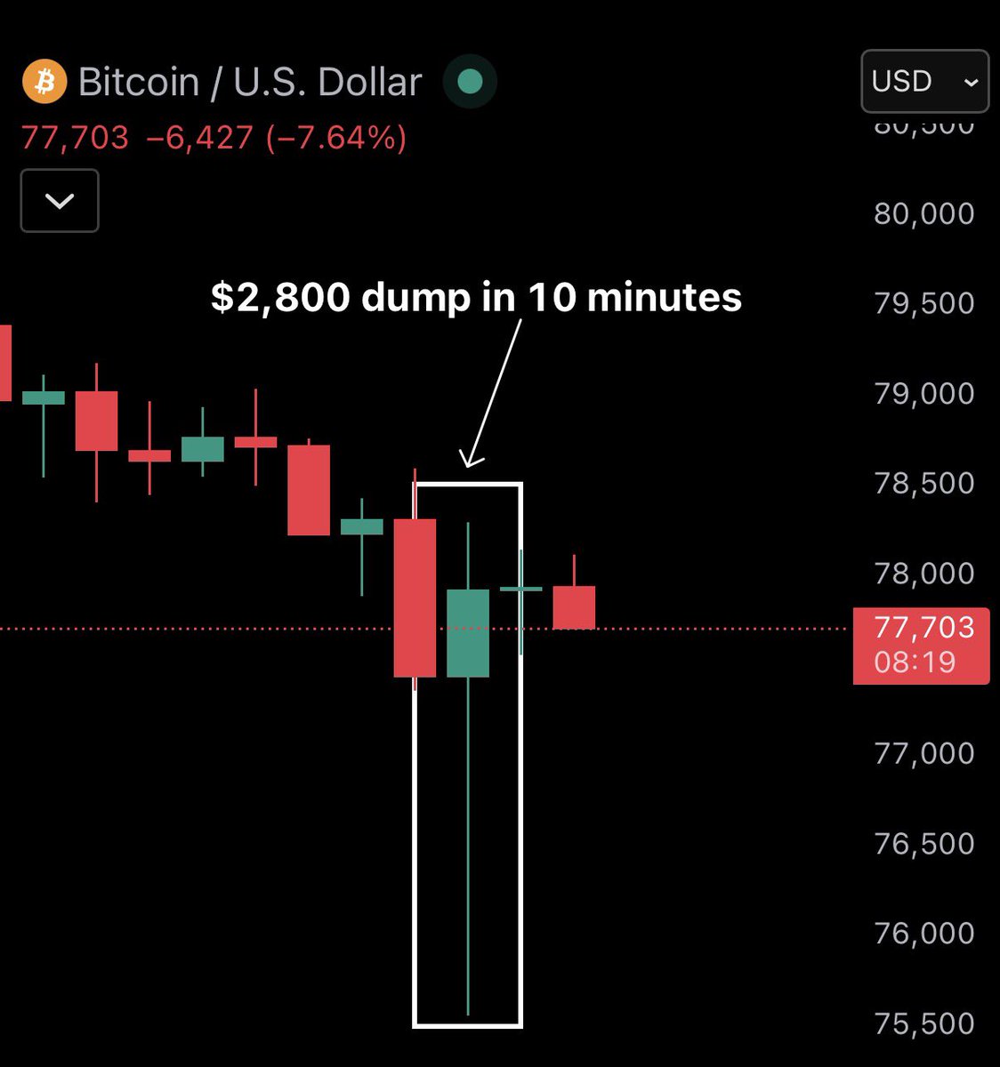 Bull Theory tweet media