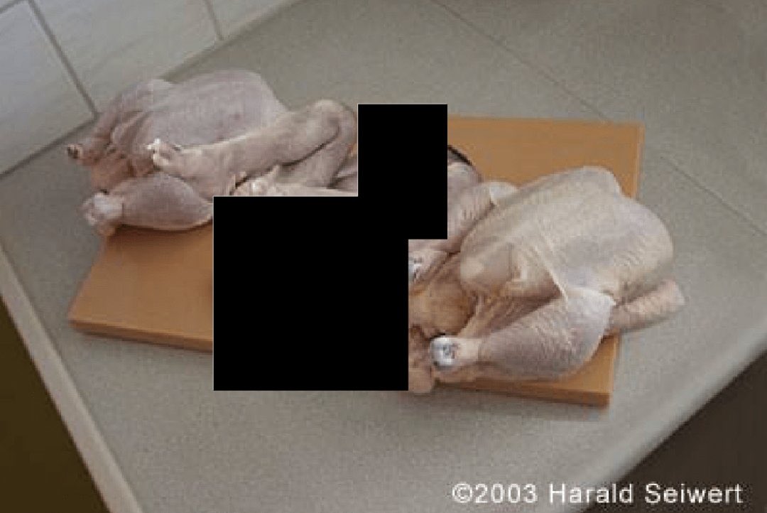 Wendigoon tweet media