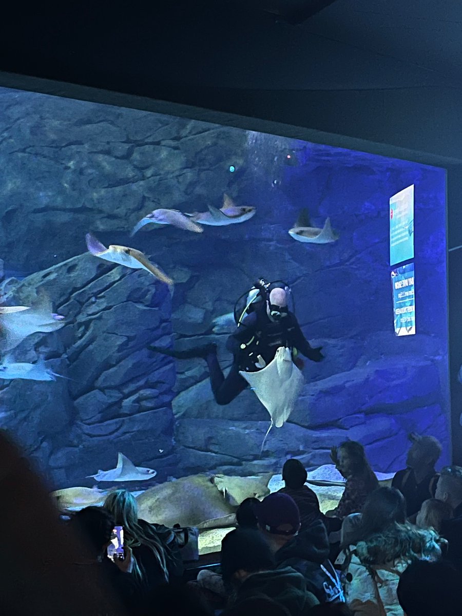 wormethx's tweet image. R*AN W*NNEN…