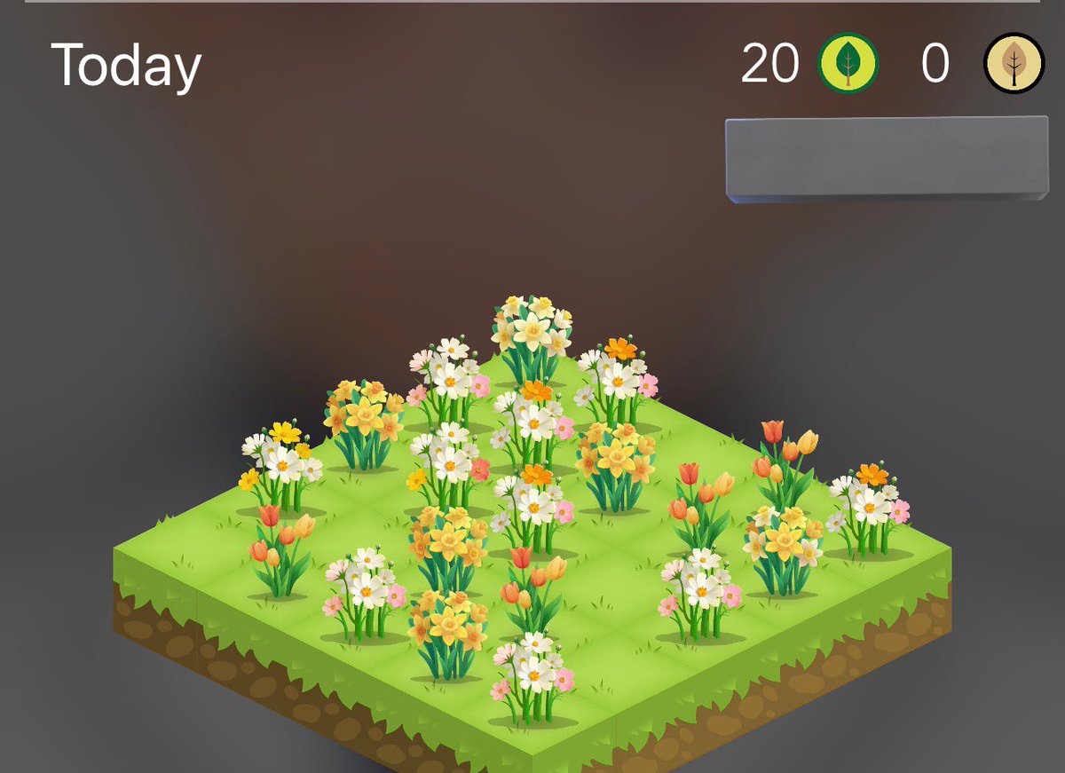 Born to be a Doctor | Hn 🩺🍊 tweet media