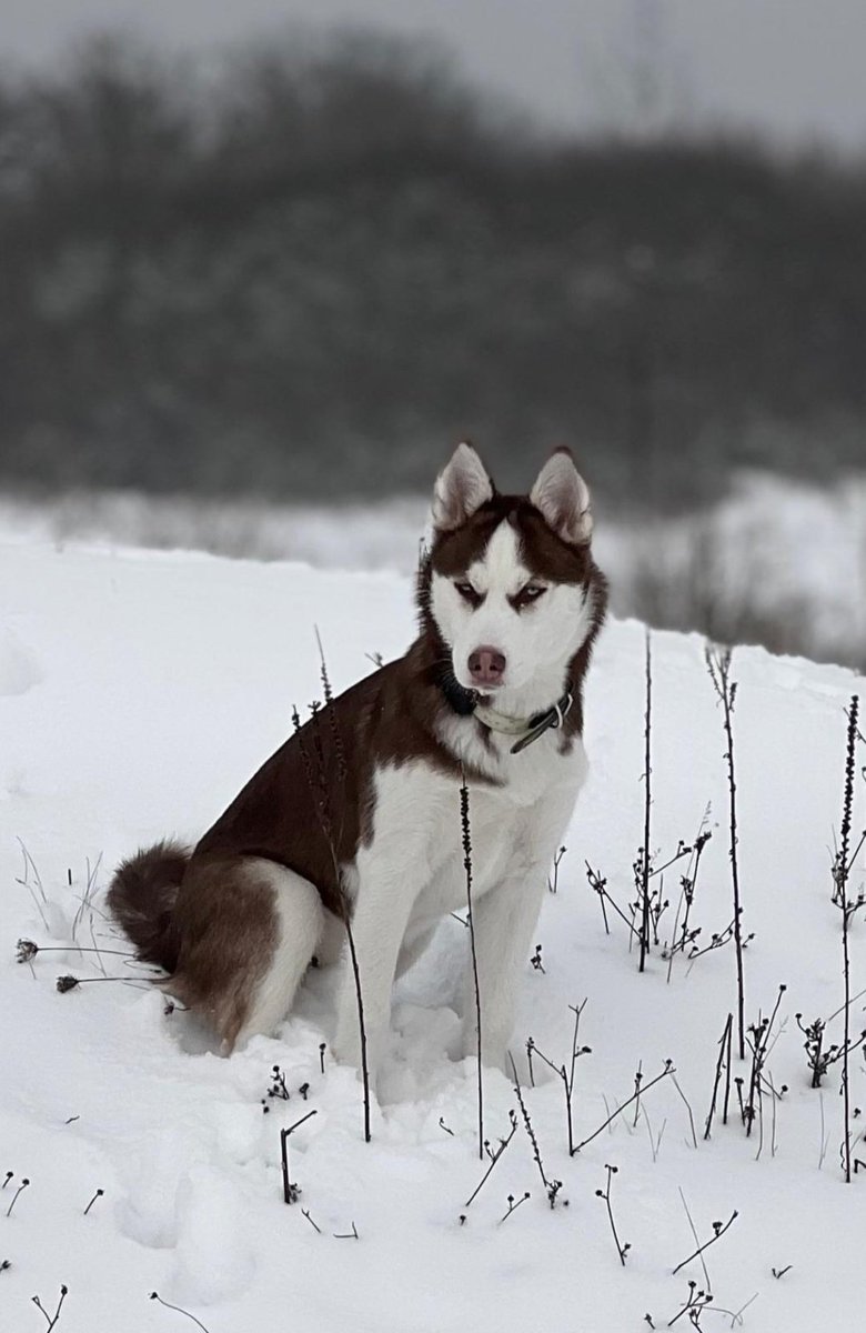 EnergyBorder's tweet image. Sei für immer dieses Mädchen, dessen Herz lächelt, wenn der Himmel seine schönsten Farben trägt. Und das die kleinen Wunder sieht, die andere oft übersehen.