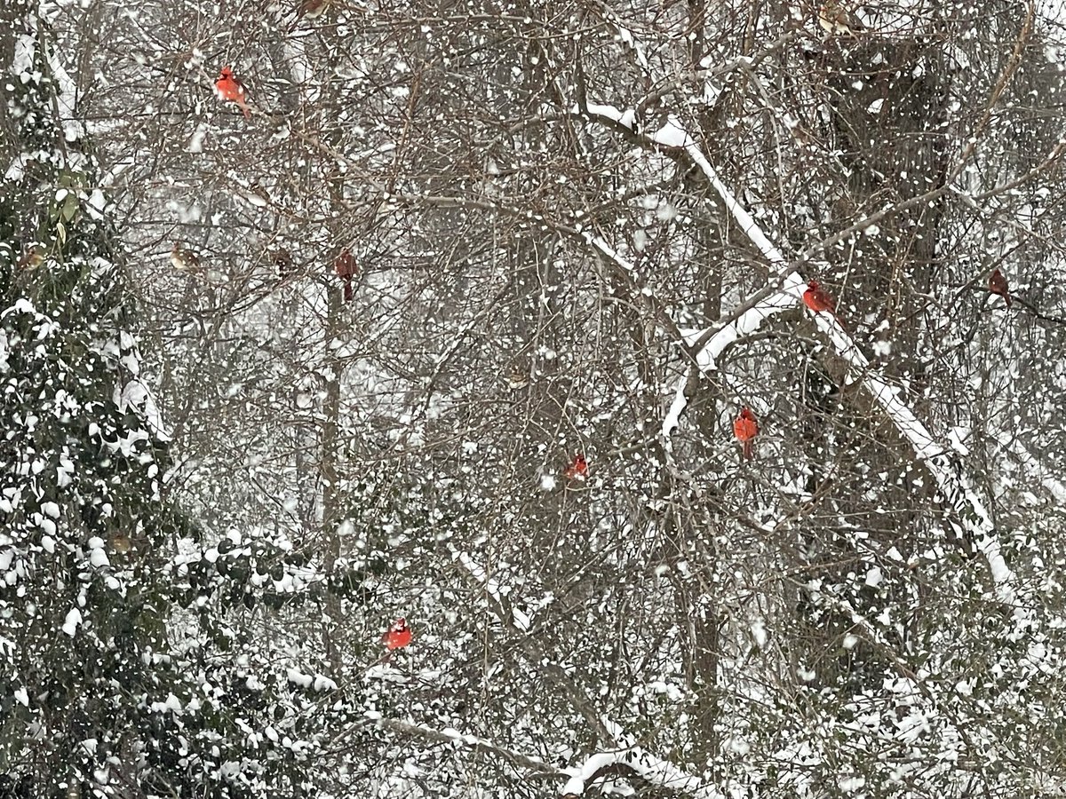 Stephen Kleinschmit tweet media