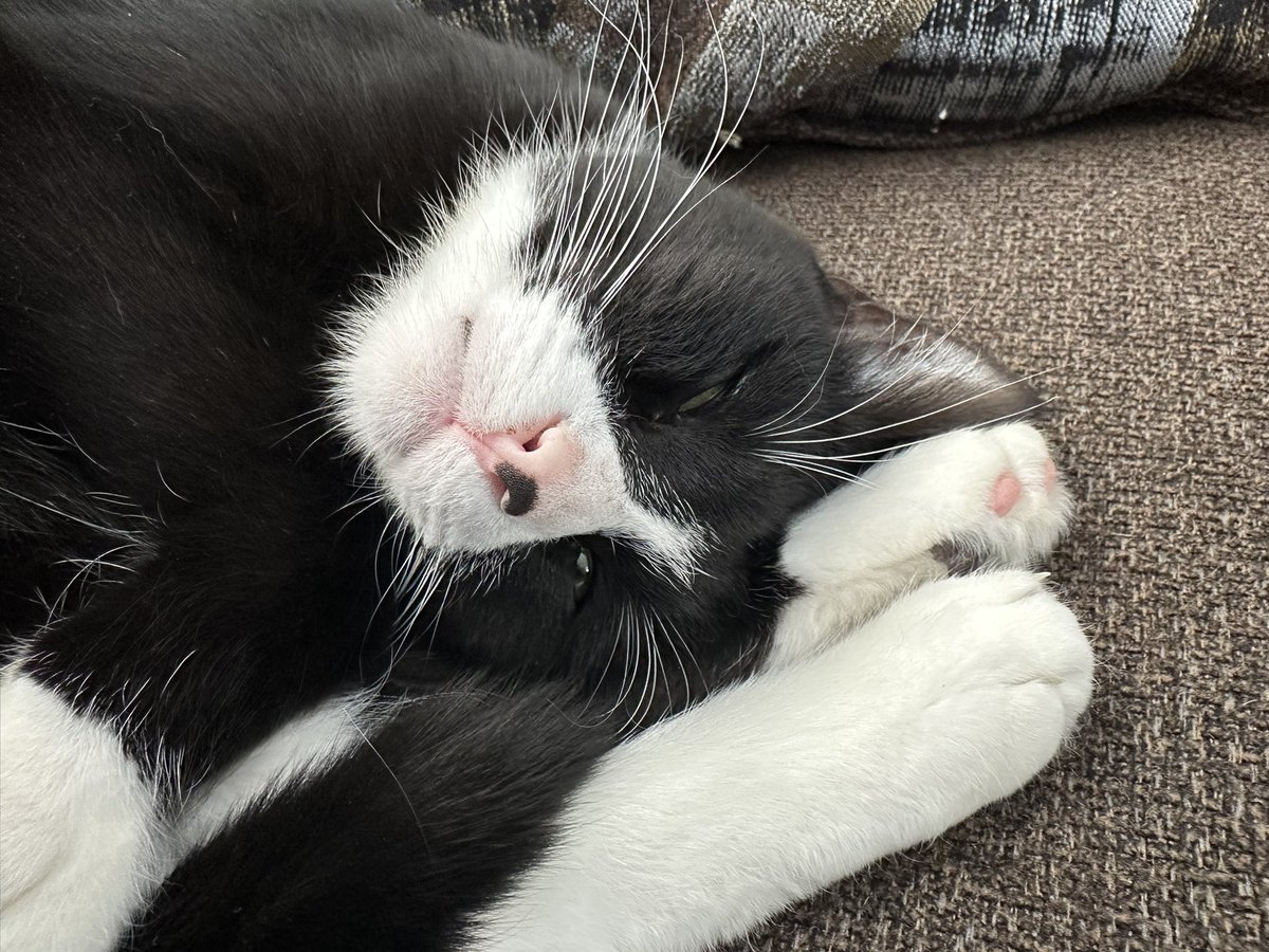 StanCravens tweet media