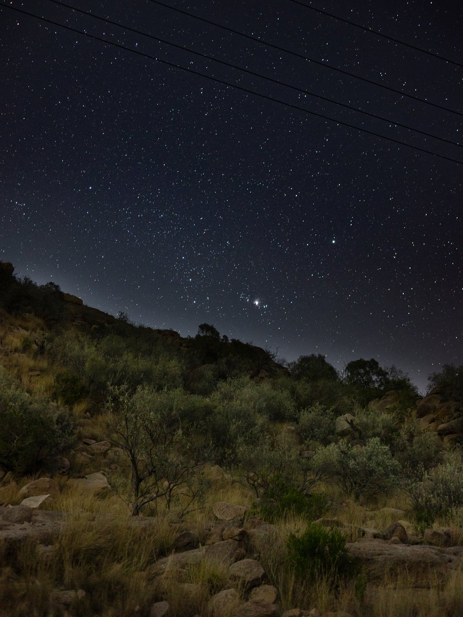 jusstmohammed's tweet image. January stars.