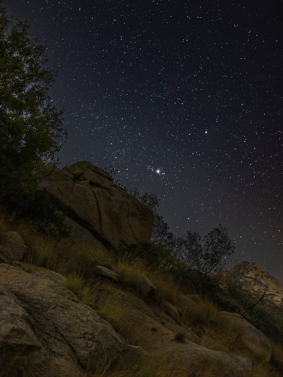 jusstmohammed's tweet image. January stars.