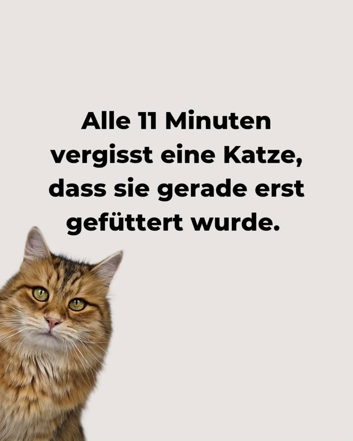 😁😁