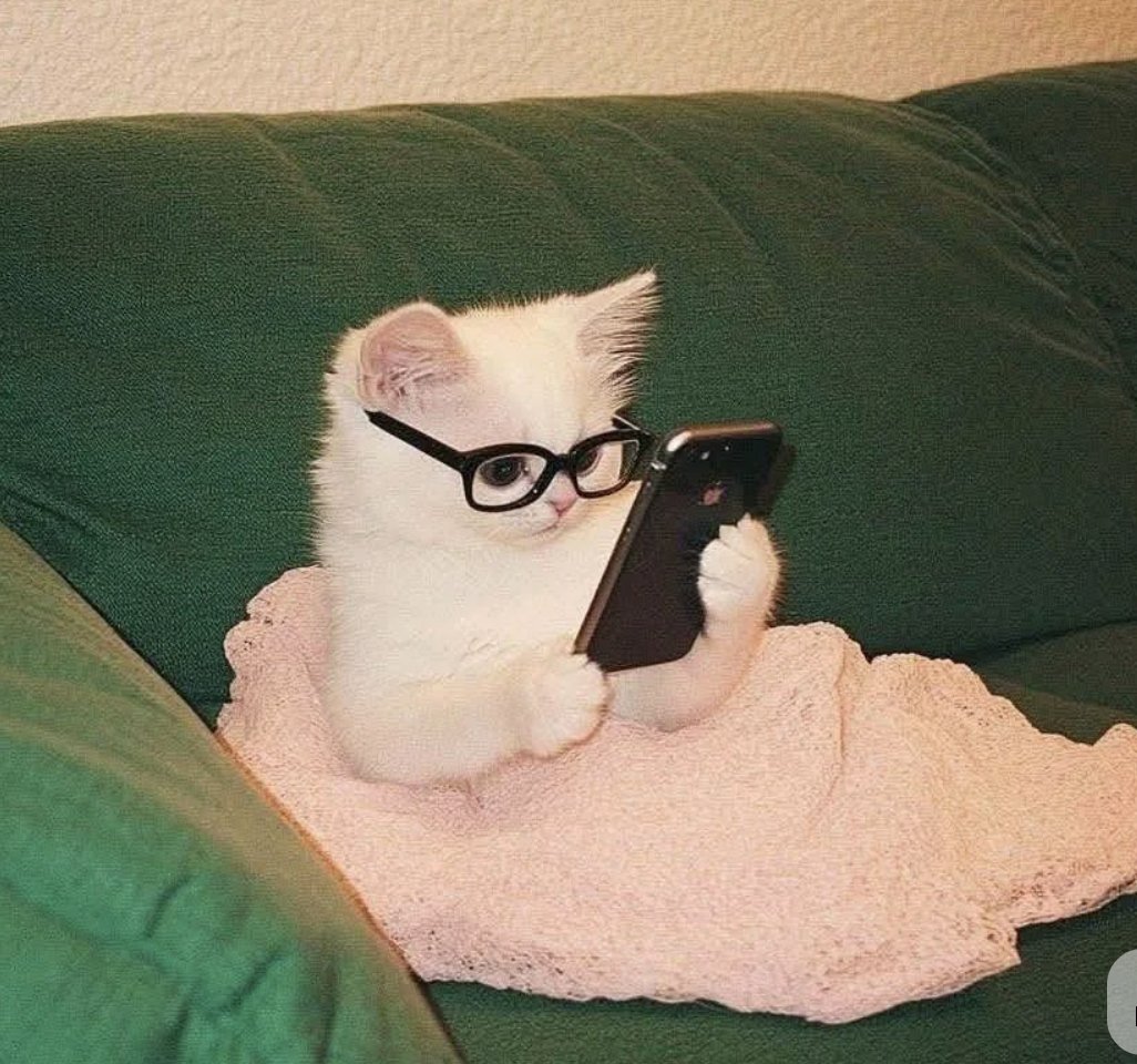 ninicrease's tweet image. #블루레이디 #블루레이디트친소 #블루레이디_트친소

고민 끝에 블루레이디를 하고 왔습니다💙

취향에 맞는 예쁘고 좋은 장소들을 공유합니다.
혼자서 카페에서 작업하러 다니기를 좋아합니다🫶🏻
일상 그리고 카페/디자인/뷰티/주식 등 관심이 많아요.

저의 소중한 트친을 찾습니다.! 
멘션