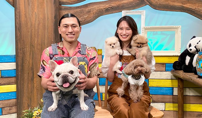 aDMtmFAEdQ23624's tweet photo. 春日さんはフレンチ犬 https://t.co/M9rAchW2iD