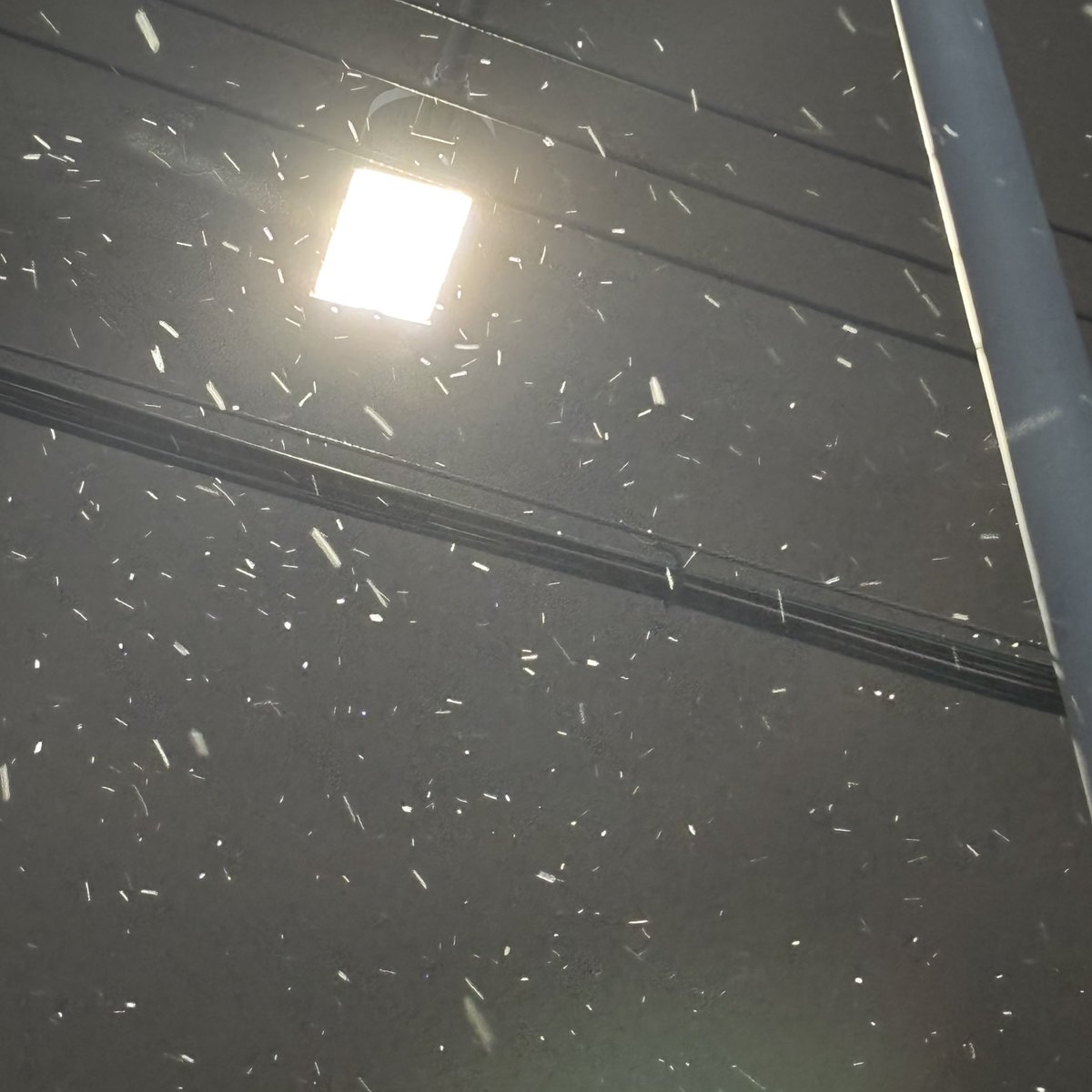 archive0614's tweet image. 눈온다