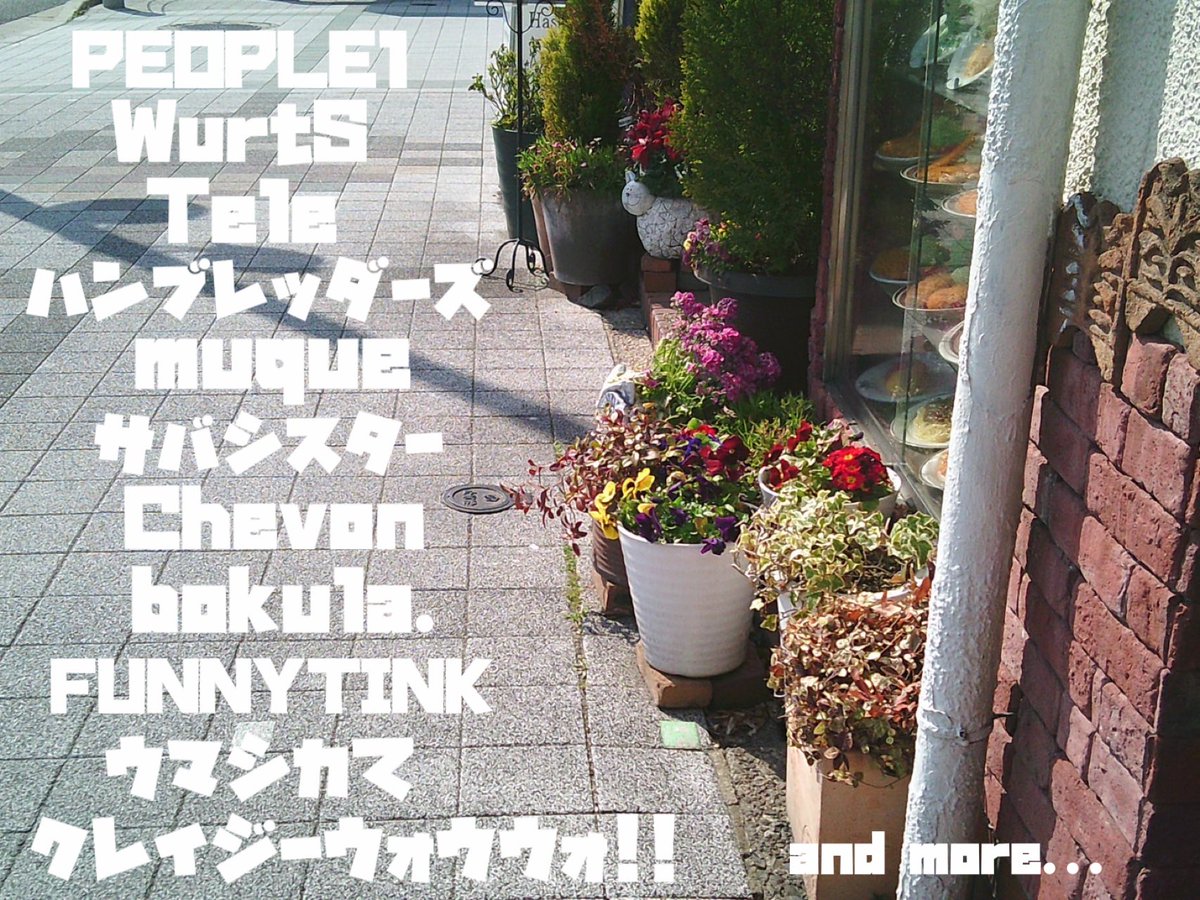 ひな 5/16,17フリーダム tweet media