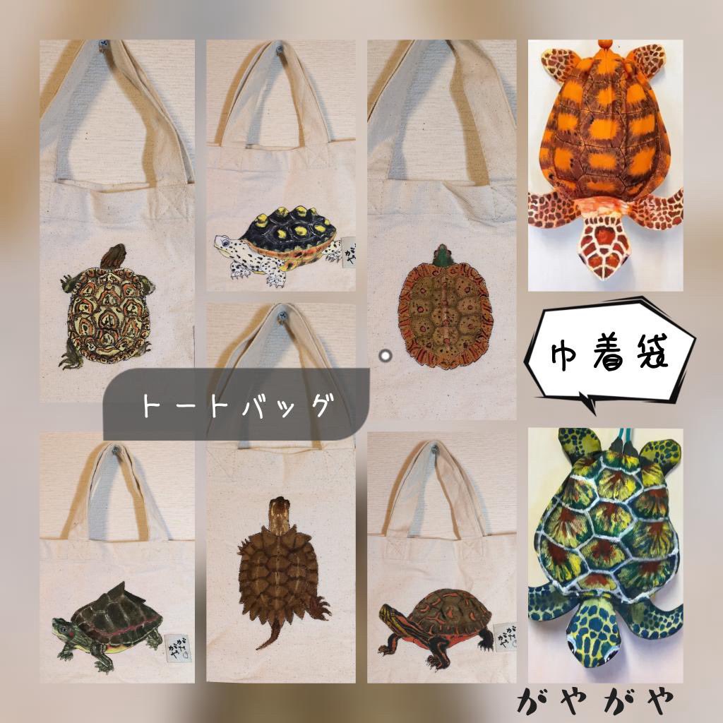 かめかめページ かめかめページ