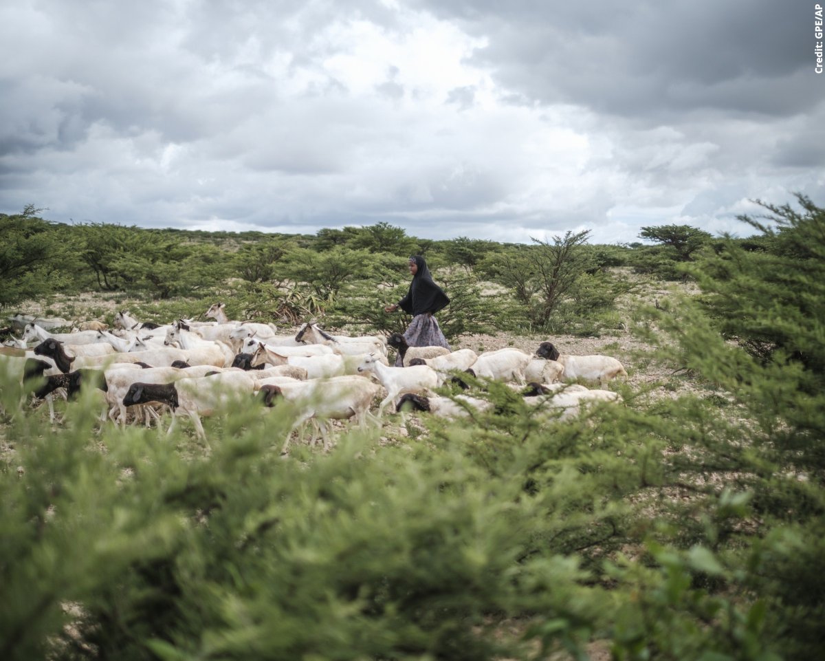 GPforEducation's tweet photo. Aucun enfant ne devrait choisir entre l’eau et l’éducation.
Au Somaliland, frappé par la sécheresse, le GPE et @save_children assurent école flexible, repas, transferts d’argent et sensibilisation pour garder les enfants scolarisés.
#FinancerLEducation https://t.co/UQZrQWXB4v