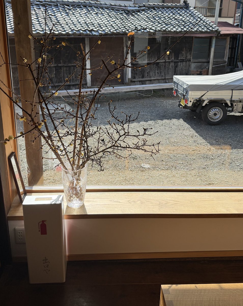 deguchiya's tweet photo. 蝋梅
 https://t.co/w3zw1HKlUd https://t.co/aqQypFmNxi