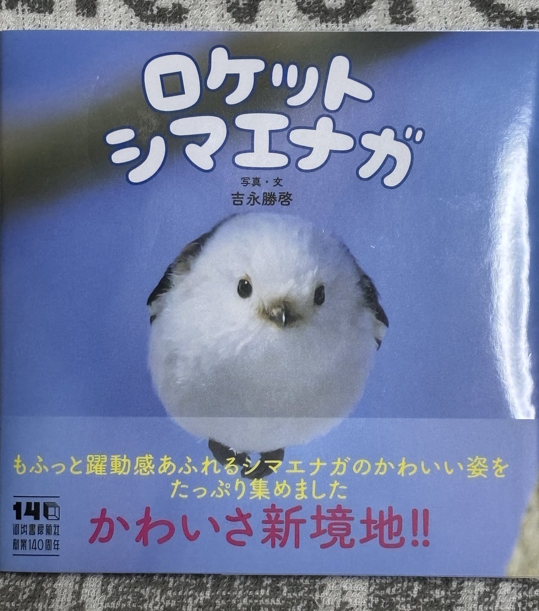 これはこの前買った本