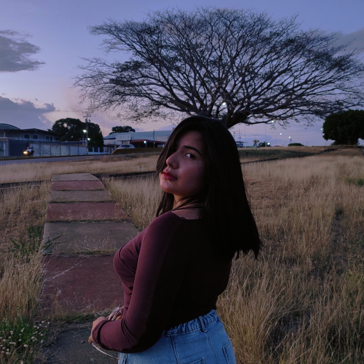 ¿Es correcto decir "mi árbol favorito"?
Porque mío no es, pero lo quiero un poco más que a todos los demás