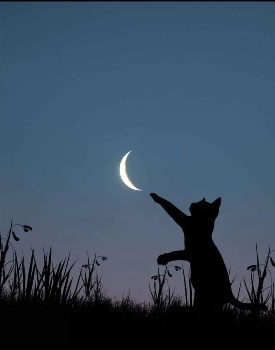 aestheticspost_'s tweet image. 