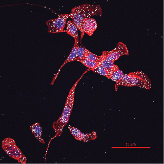 Andy Wolfe tweet media