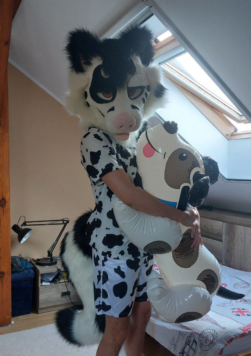 Milo 🇵🇱 tweet media