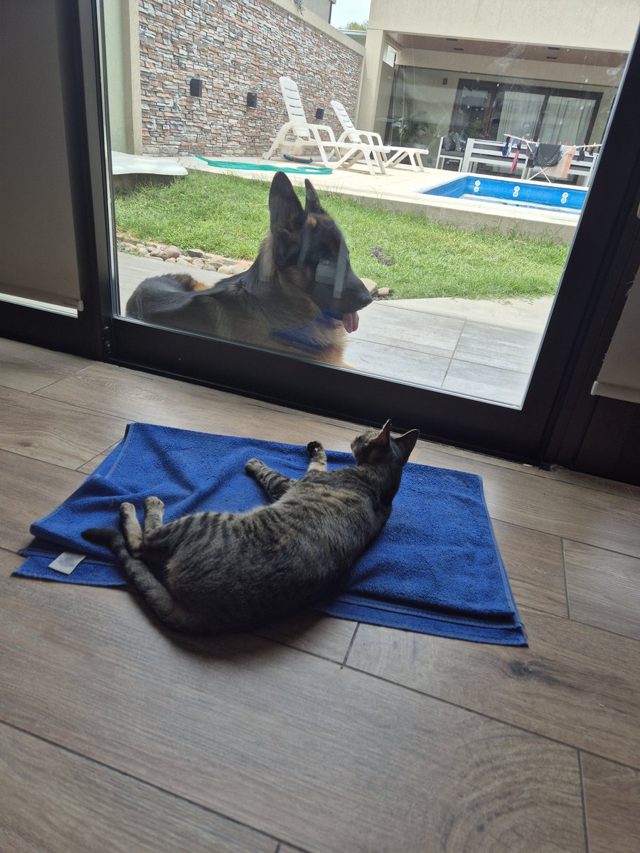 la vida no es justa para algunos, uno adentro con Aire Acondicionado y otro afuera con mucho calor.