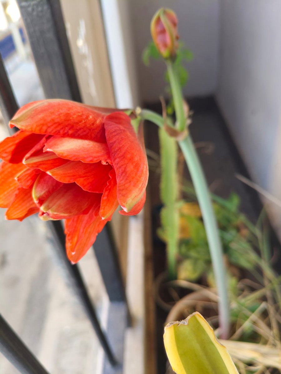 ವಿ. ಎನ್ 

ಜಗತ್ತು ಅರ್ಥವಾಗದ ಕ್ಷಣ
ಕೇಳದೆ ಅರ್ಥ ಮಾಡಿಕೊಳ್ಳುವ ಒಂದು ಹೃದಯ 
ನಾನು ಇದ್ದೇನೆ ಎನ್ನುವ ಧನಿ
ಅದೇ ಗೆಳೆಯನ ಅಸ್ತಿತ್ವ...