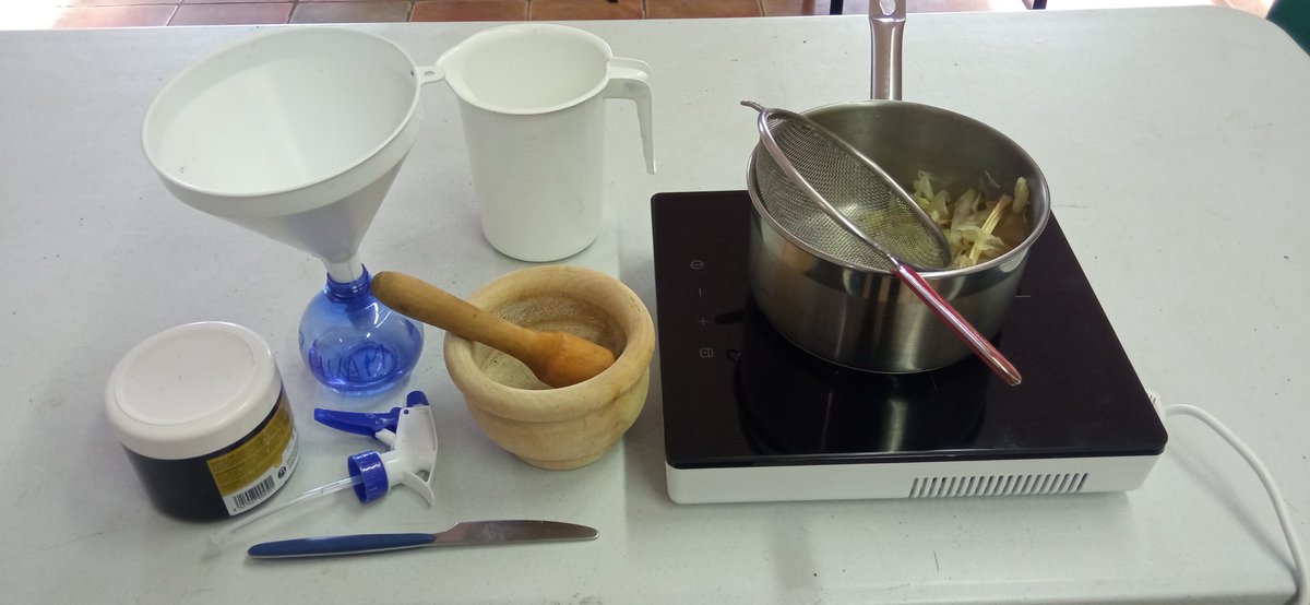 Comenzamos 2026 con el cultivo de ajos y sus usos en el huerto, acompañadas de l@s vecin@s de Móstoles. Ha sido un placer compartir está mañana con vosotr@s! 🌱🧄🧅
@sistemasmedioambientales
@mostoleseducacionambiental
@ayto_mostoles
#huertosurbanos
#huertosdelaRhuam