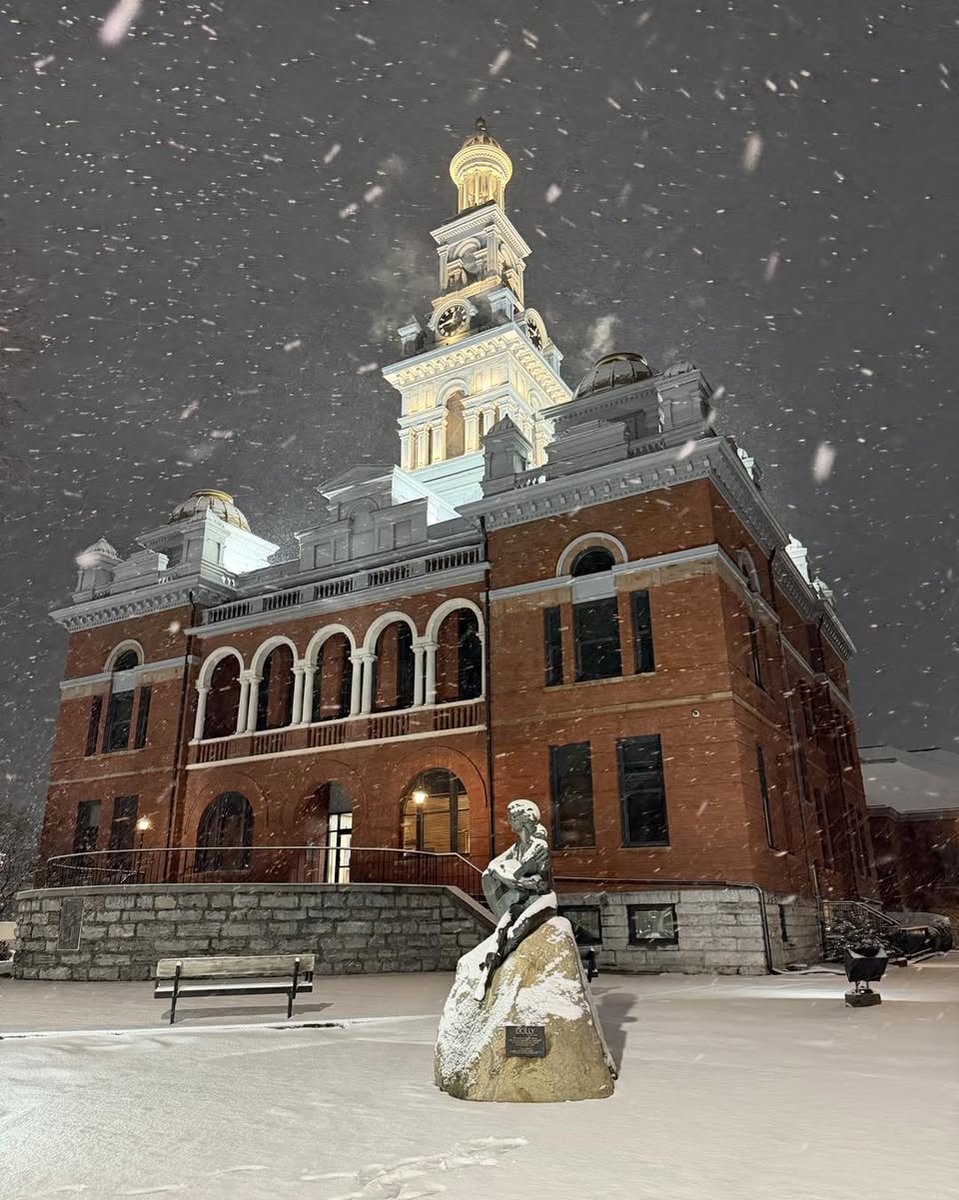 Sevier County, TN tweet media