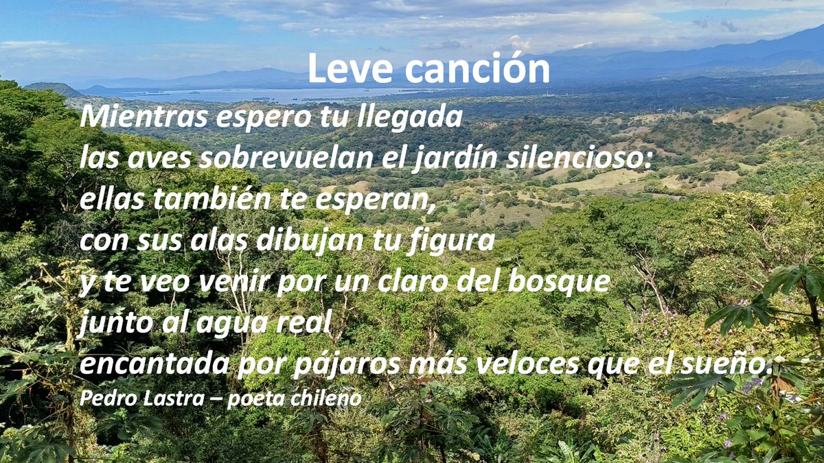 Armando (@apreza54) on Twitter photo 