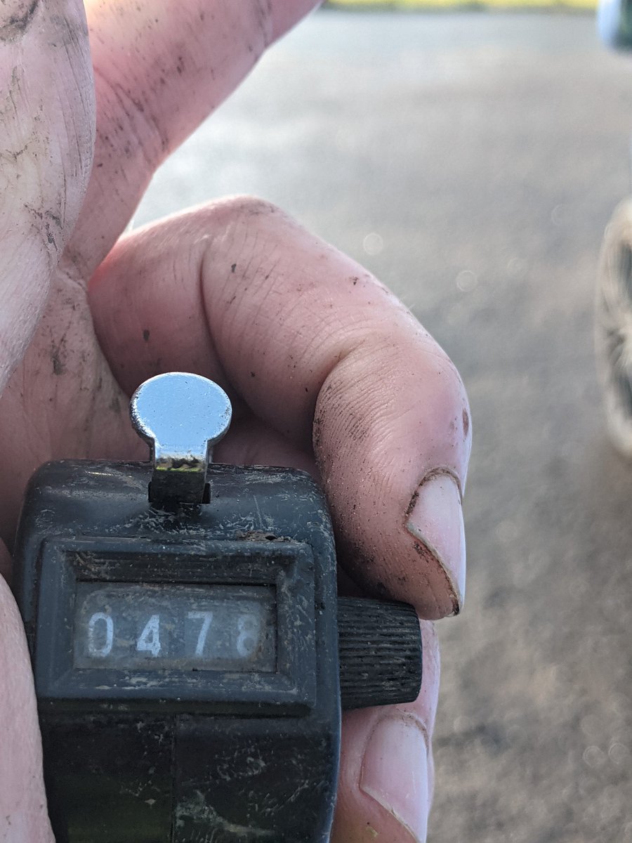 Eric Torrington tweet media