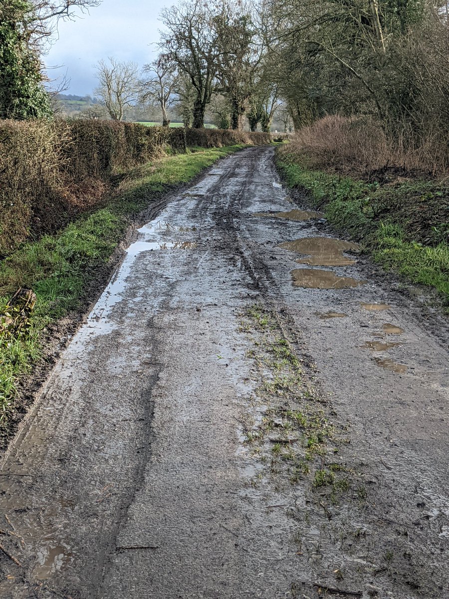 Eric Torrington tweet media