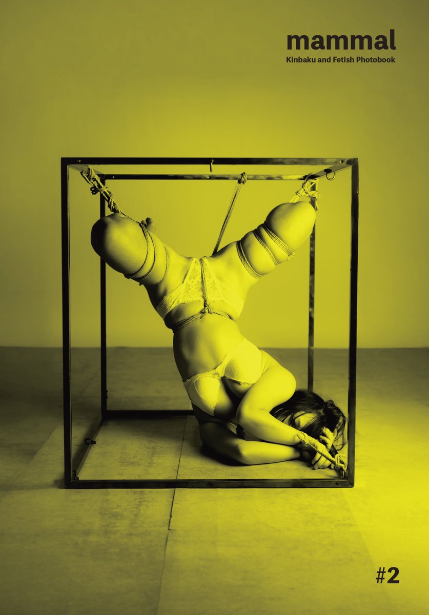 mammal / ママル tweet media