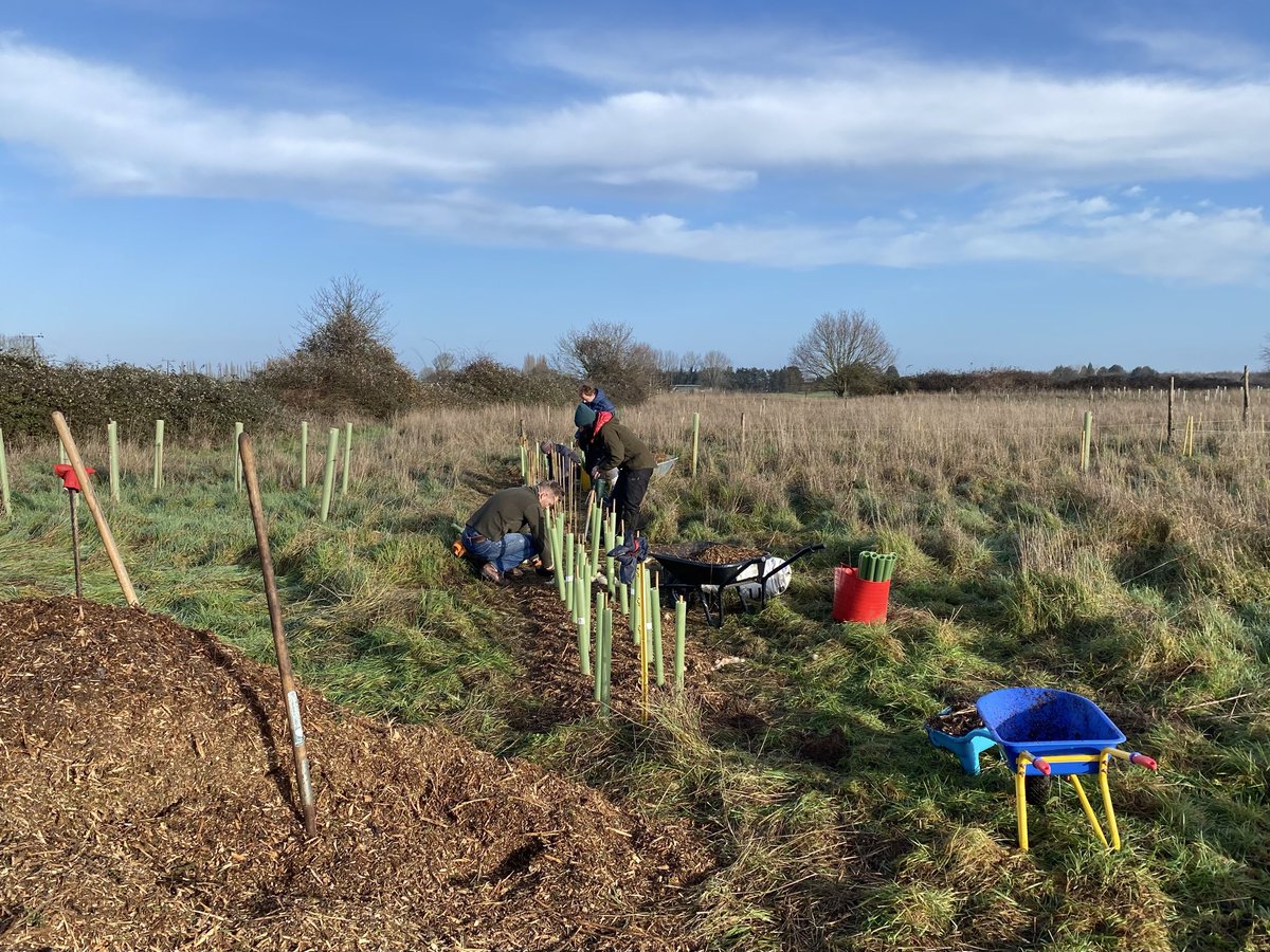 briar_farm's tweet photo. Spent the morning planting up trees

These 250 saplings will form a hedgerow to surround a new traditional apple and pear orchard. 

Thanks to everyone who came to lend a hand! https://t.co/VPRgySGdMP