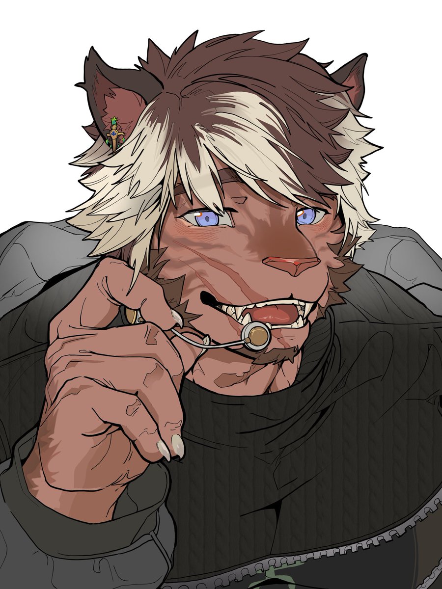 MouACT2's tweet image. I've started playing Final Fantasy XIV, and this is my little cat.🎶