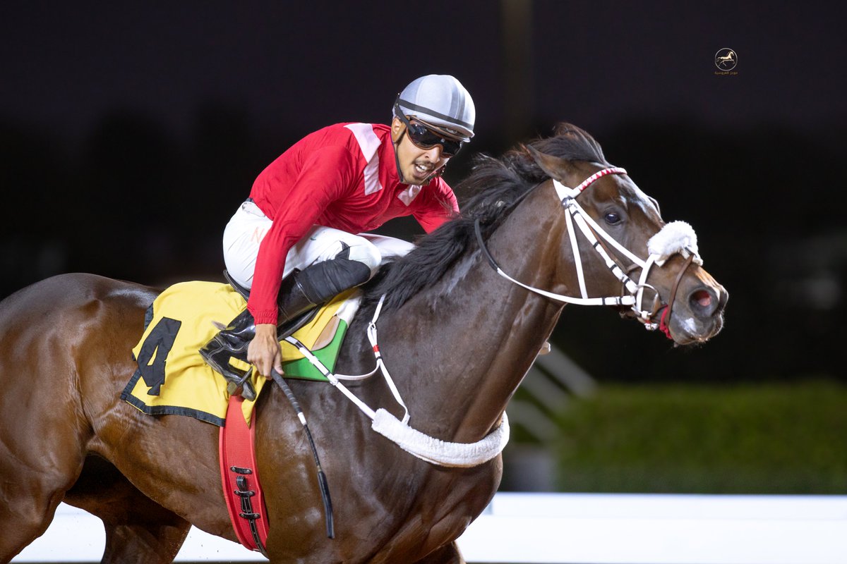 الحفل ( 68 )
نتيجة الشوط ( 6 )
كاس وزارة الثقافة 🤩🏆

• الفائز : برنارد شاو
• الاب : انتو ميسشيف
• الام : PRINCESS HAYA
• المالك : الأمير فيصل بن خالد بن عبدالعزيز
• تدريب : سلطان بن جلال
• قيادة الخيال : نواف المضياني
• مسافة الشوط : 1600م
• الزمن : 1:41:37