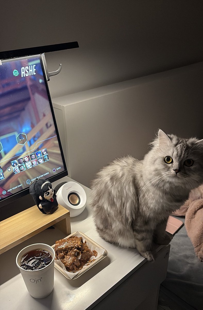 ايلن tweet media