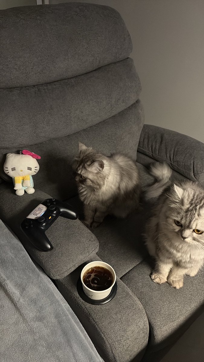 ايلن tweet media