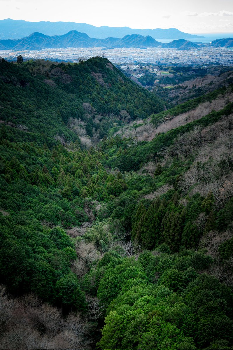 HassayPhoto2903's tweet photo. この垢頑張って動かします

 #富士山 
 #静岡から見る富士 https://t.co/DH7NGKVPsO