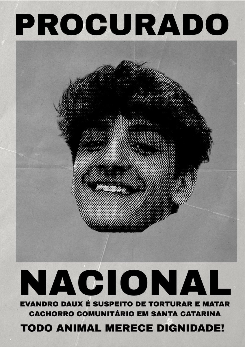 Hellensincerona's tweet image. ATENÇÃO SC 
Esses dois criminosos estão soltos  e estão protegidos pela lei.Querem esconder seus rostos. 
Se vc tem filhos pequenos ou idosos, tome cuidado, eles mataram um cão e  vão matar pessoas..ajudem os moradores de rua, pq tbm são alvos fáceis!
FEDERALIZAÇÃO DO CASO ORELHA