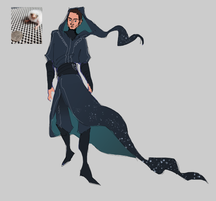 robin 🚩dunepilled 5ever tweet media