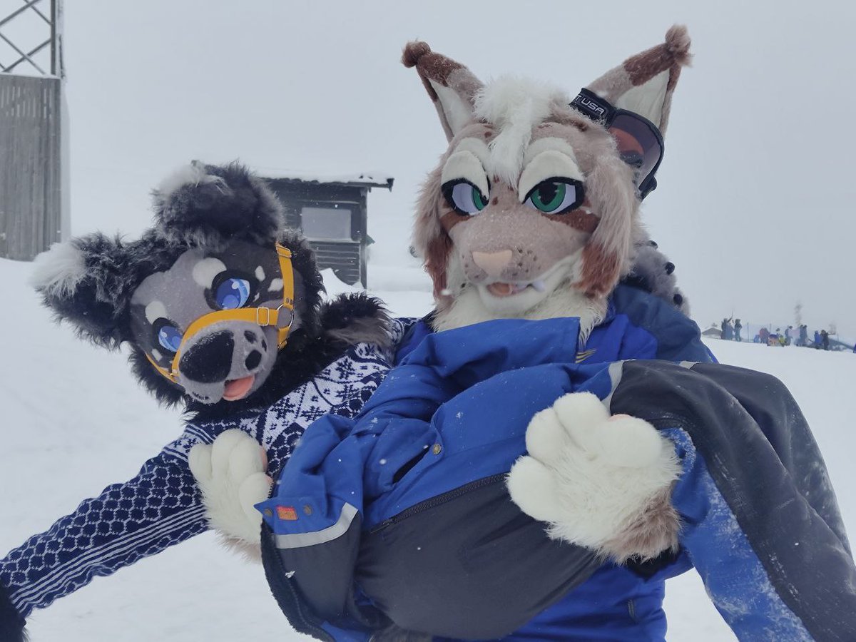 Dumb Dog ⚡Static⚡ tweet media