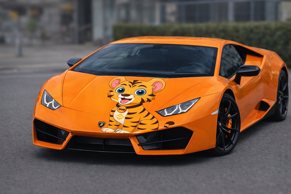 BNB Tiger Inu tweet media