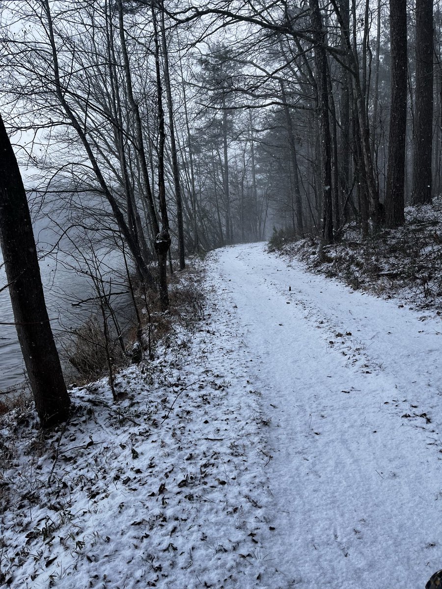 Travis Rutkiewicz tweet media