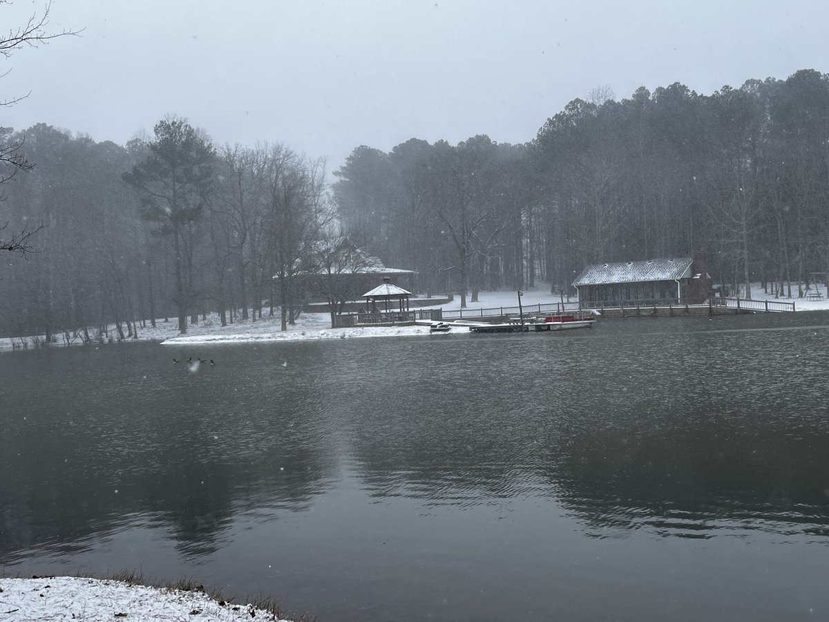 Travis Rutkiewicz tweet media