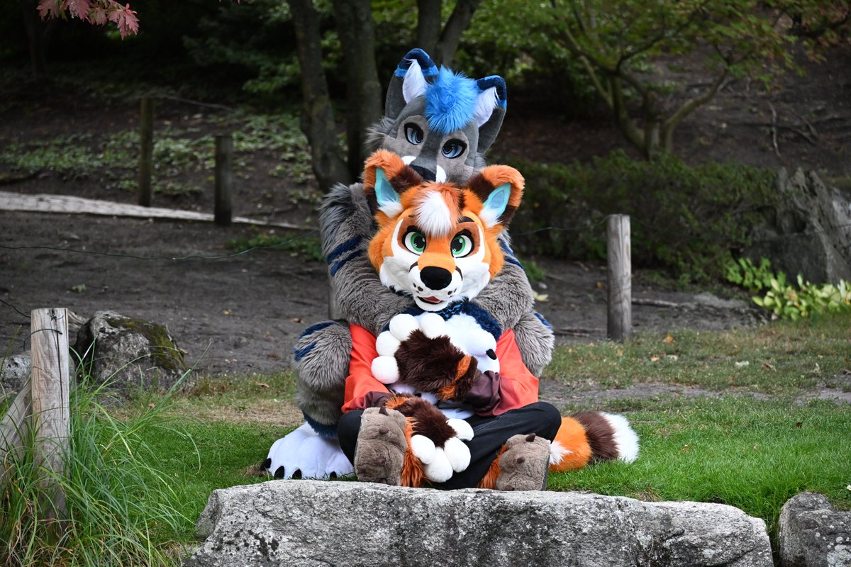 Mike The Fox tweet media