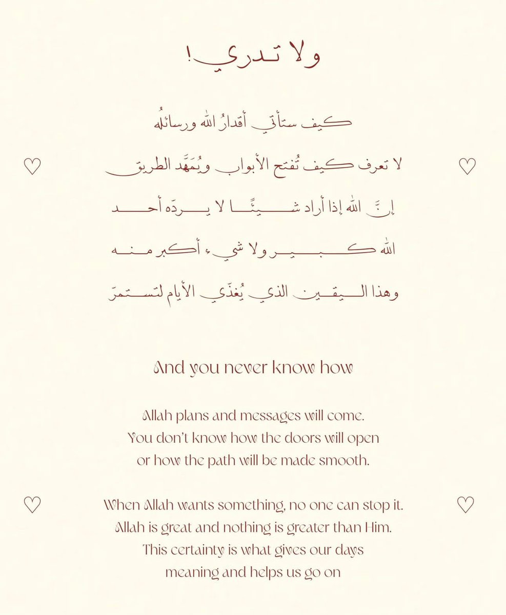 ill2ie's tweet image. 