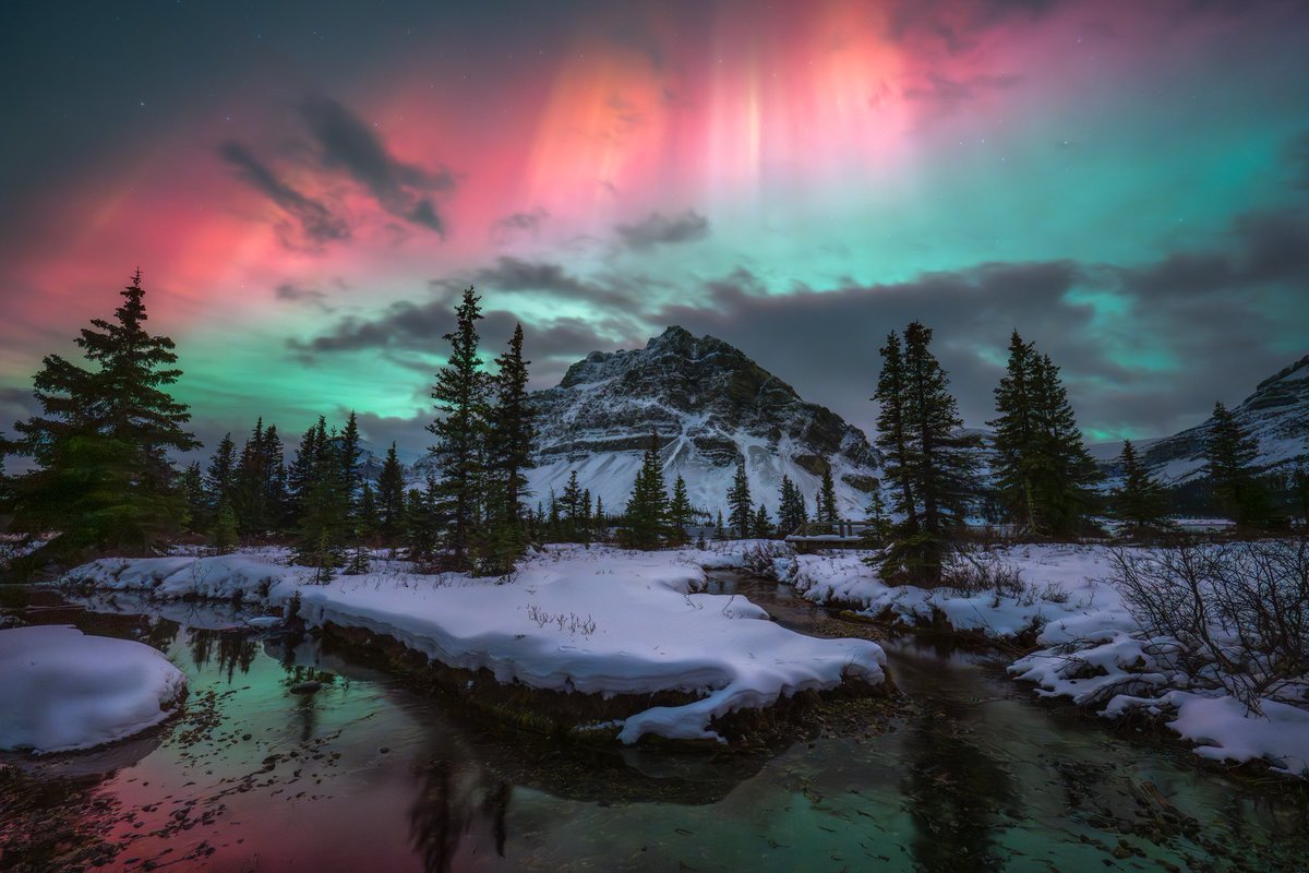 JamesAfineart's tweet photo. 2 of my favorite image's I've been lucky enough to capture https://t.co/YPKPNBEii7