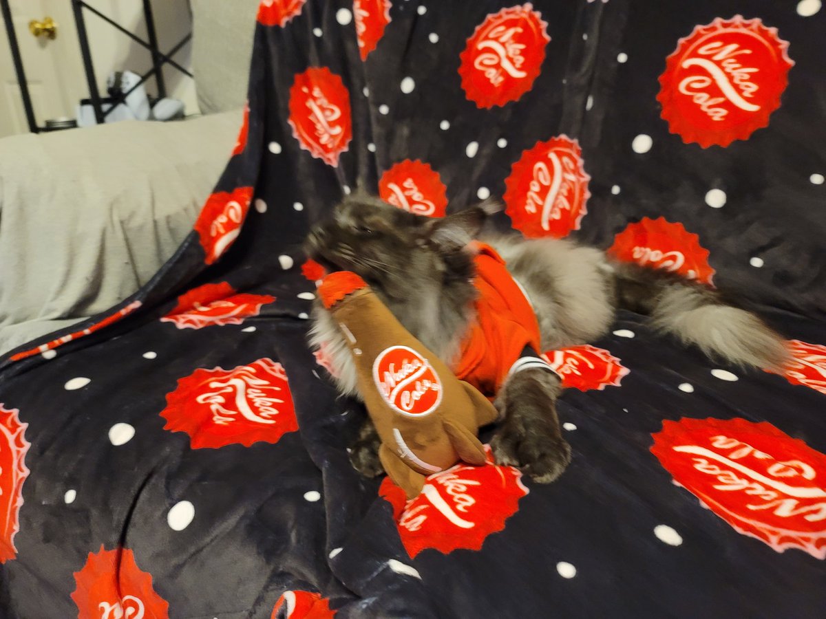 DAMdude85 tweet media