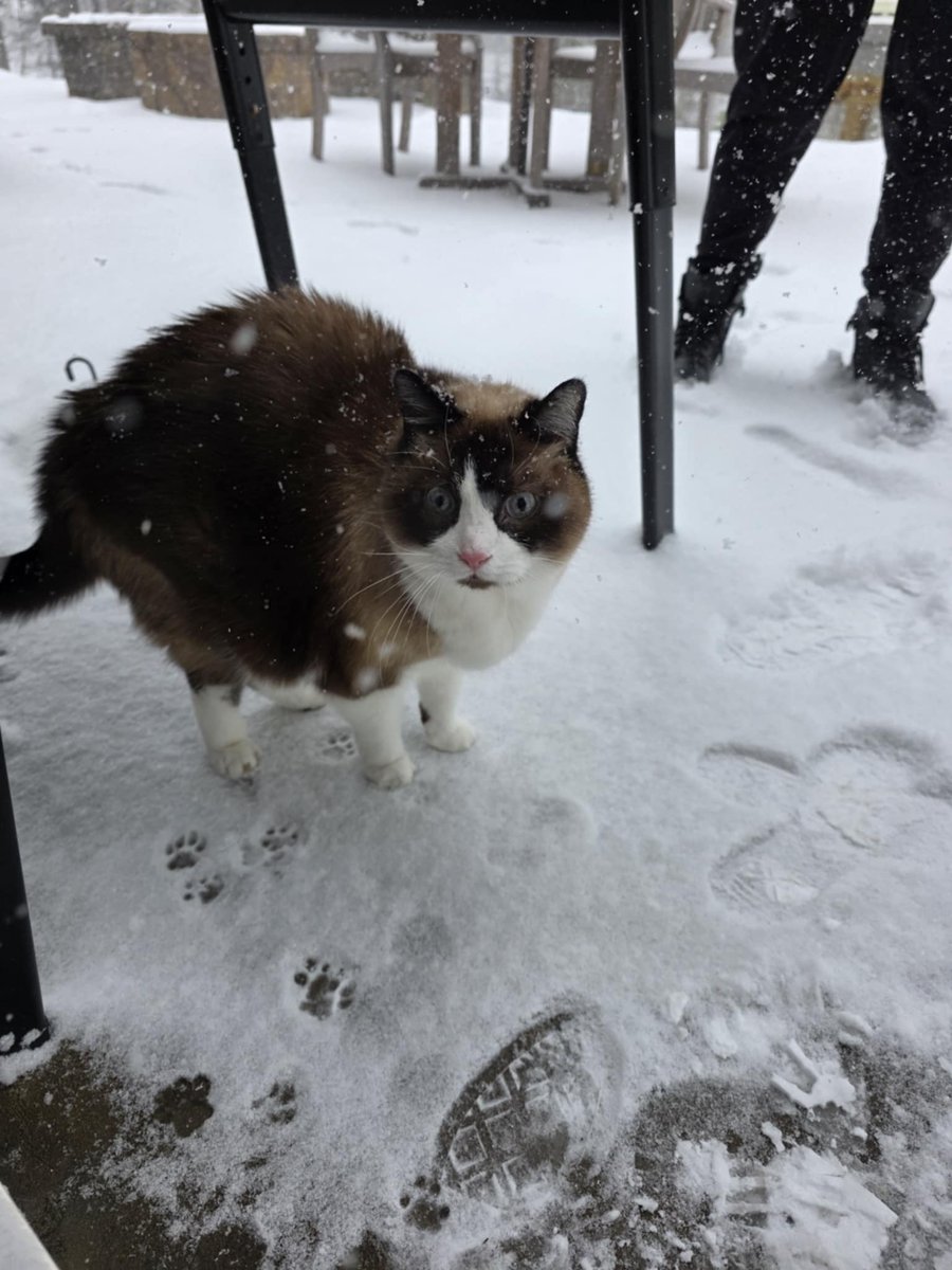 Sir Can Pirate tweet media