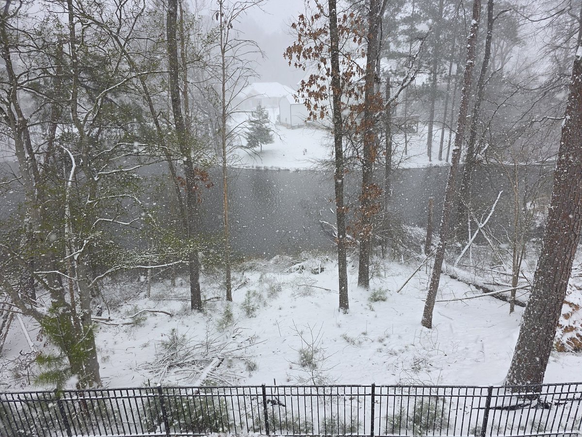 Sir Can Pirate tweet media