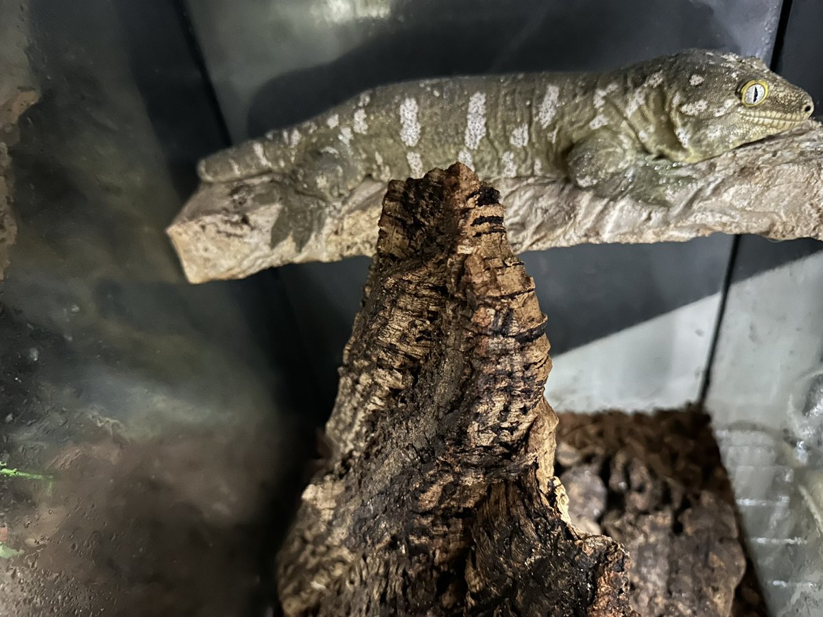 3045で横いっぱいってことは 30cm到達したってことでいいよね😄 そして