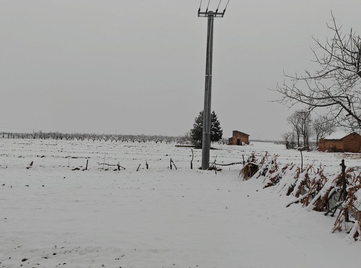 这一刻才算是极度恐慌的一天吧，我就持有BTC，ETH，Sol现货，我不怕，也不割肉，怎么跌下去最终怎么就能涨上去，时间会磨平这段坎坷，山寨币就不做评价了，因为我没有。